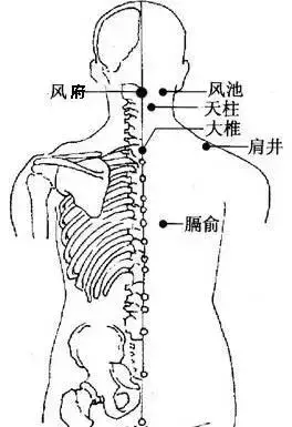 刮痧經絡排毒,讓你補得更有效!
