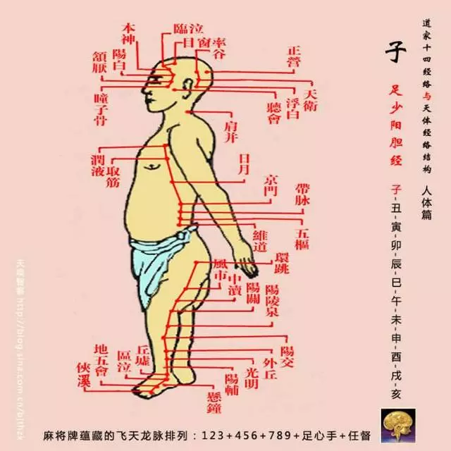 [情緒與經絡的走向]