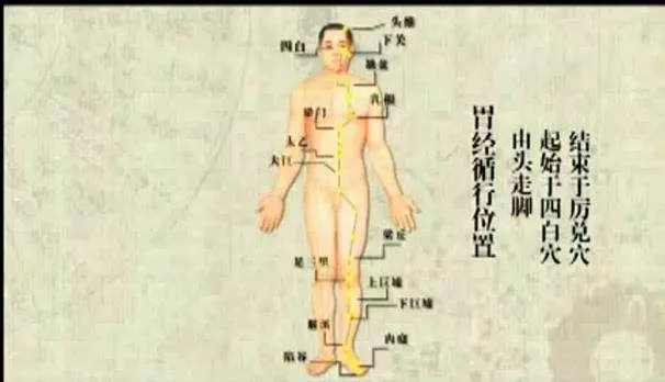 [情緒與經絡的走向]