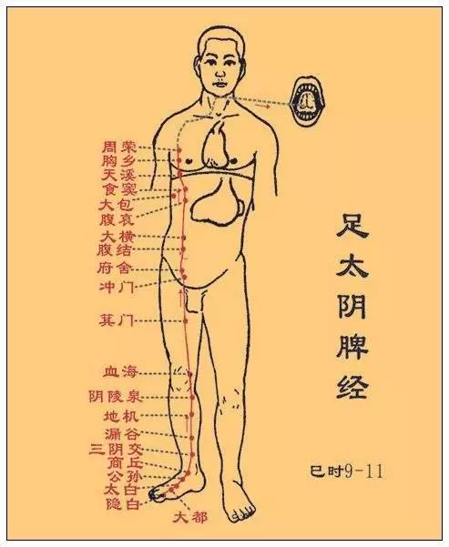 [情緒與經絡的走向]
