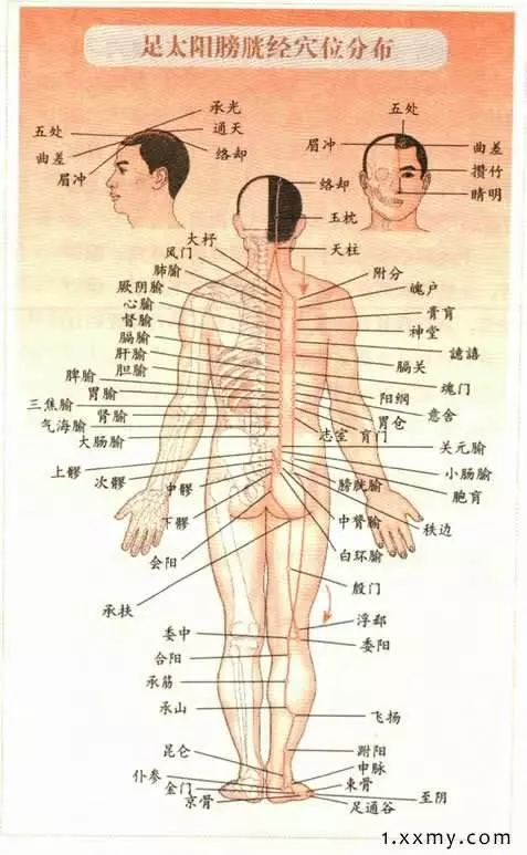 [情緒與經絡的走向]