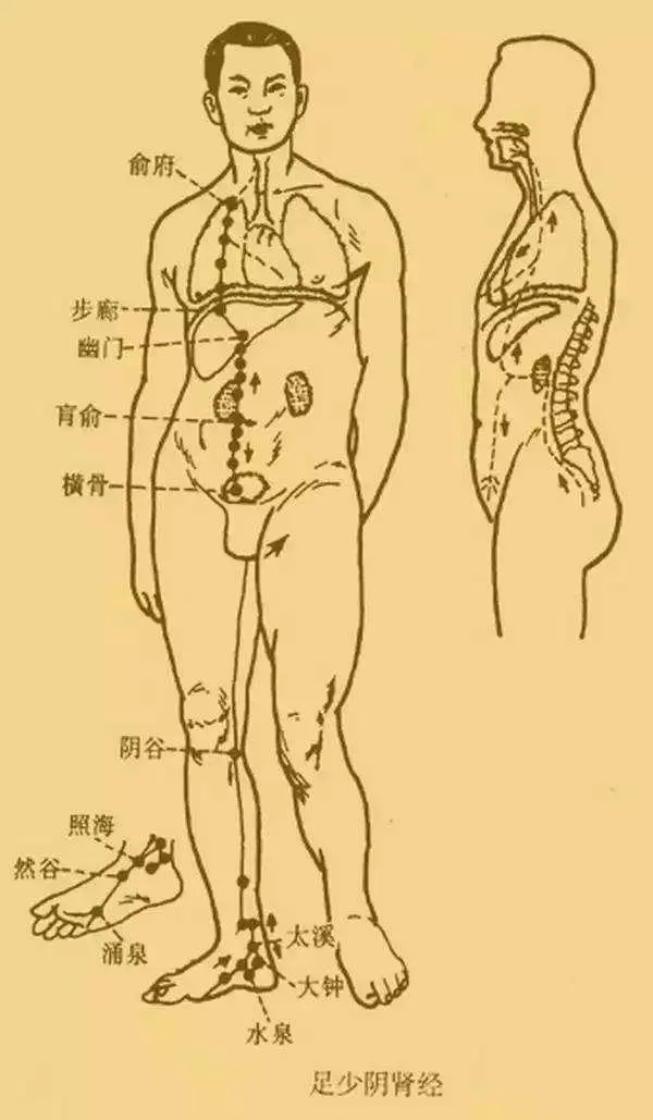 [情緒與經絡的走向]