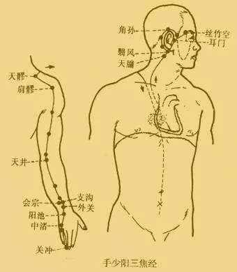[情緒與經絡的走向]