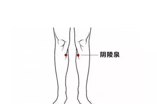 勞宮穴+陰陵泉穴,每天按揉5分鐘,可健脾利濕、降火、緩解瘙癢!