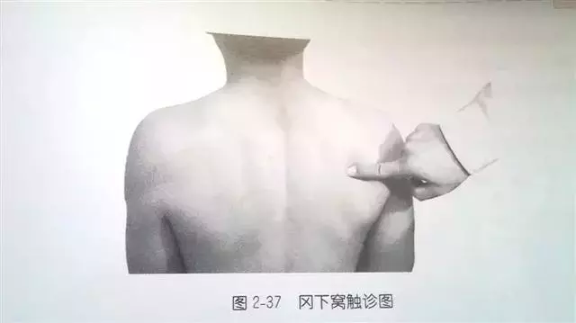 肩部疼痛圖解(很珍貴)