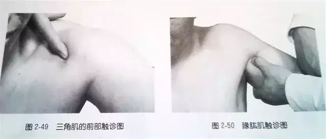肩部疼痛圖解(很珍貴)