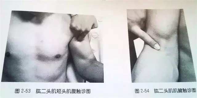 肩部疼痛圖解(很珍貴)