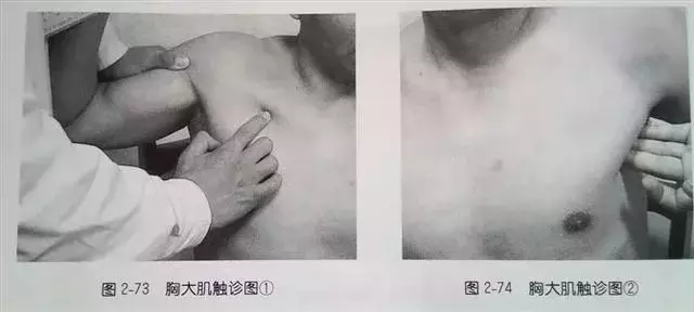 肩部疼痛圖解(很珍貴)
