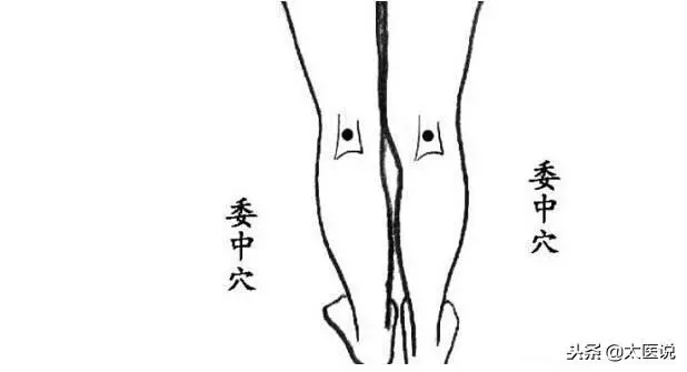 膀胱經原來這麼神奇,怪我沒有早點知道!