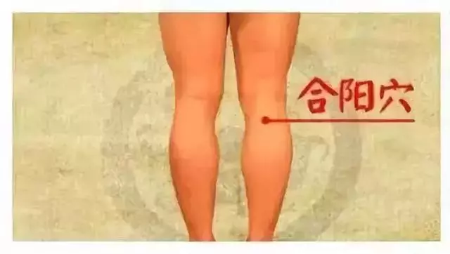 這37穴位,經常艾灸,頂得上一個大藥庫,值得收藏!