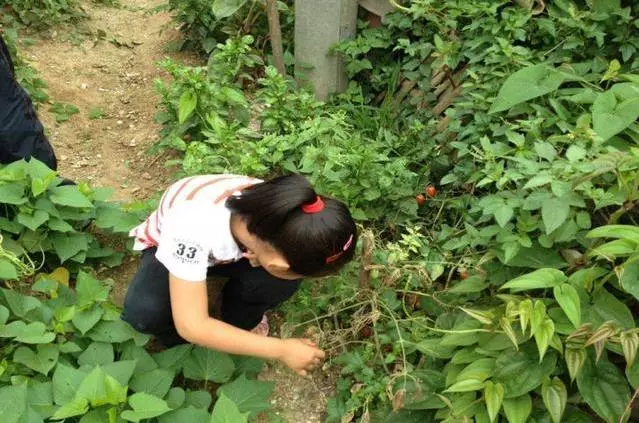 為照顧弟弟,她36歲未婚,弟媳過門後讓她走人,她笑著說謝謝