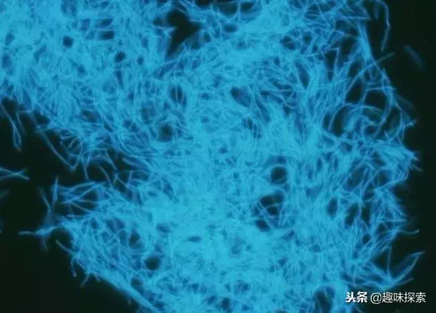 尋找10年,科學家終於發現神秘生命存在地下5公里,重約240億噸
