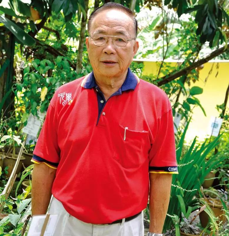萬病仙草「苦王穿心蓮 」民間流傳的七葉救主!可治發燒、感冒、血壓高、喉嚨痛!