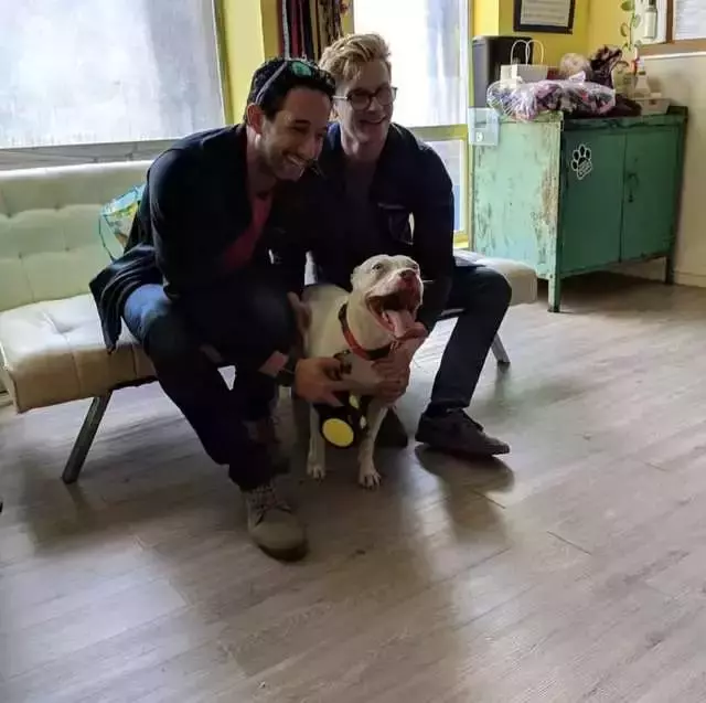 狗狗被領養後不敢睡覺,怕一睜眼看不到主人……