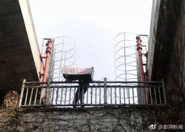 超有愛65歲老爺爺丟飼料上千次 貓咪困高架橋2年卻「變胖了」