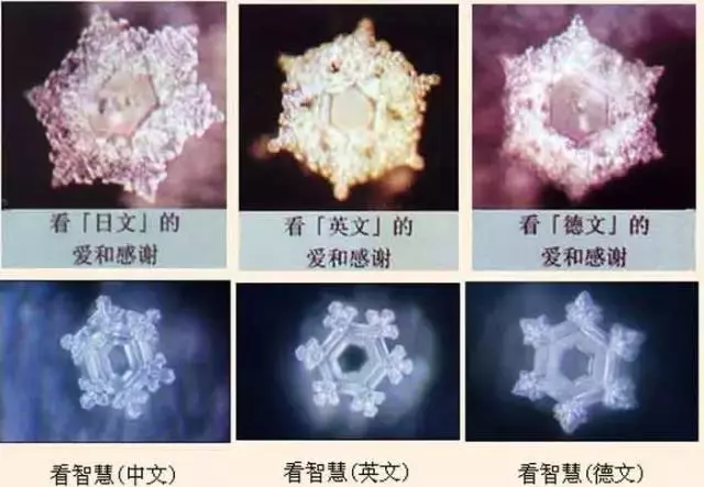美國科學家發現因果報應的重大秘密!