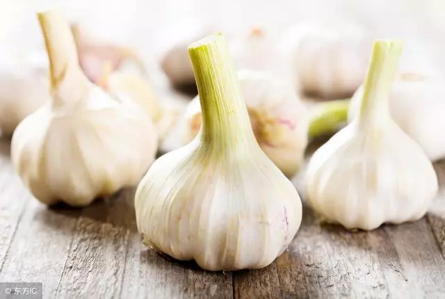 常吃4種食物,能「消滅」幽門螺旋菌,實惠又有效!