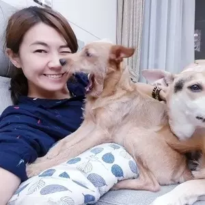 「秀燕有智慧」!拚補選 盧秀燕與沈智慧合拍宣傳照