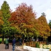 「秀燕有智慧」!拚補選 盧秀燕與沈智慧合拍宣傳照