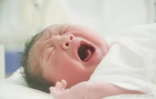 生下女兒,媽媽伺候我月子,婆婆送來一包紅棗,打開後我紅了眼眶