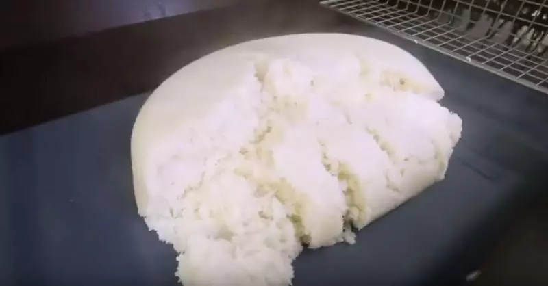 原來「超商便當」這樣來的!全程機器操作「生米→滿滿配料便當」網友驚呼:難怪那麼貴!