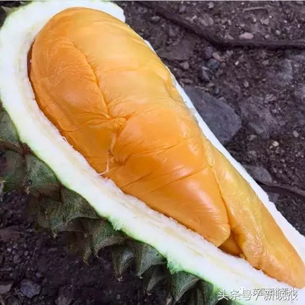 一對情侶3年餐餐就吃水果,只是這變化,有人羨慕有人擔憂…… -