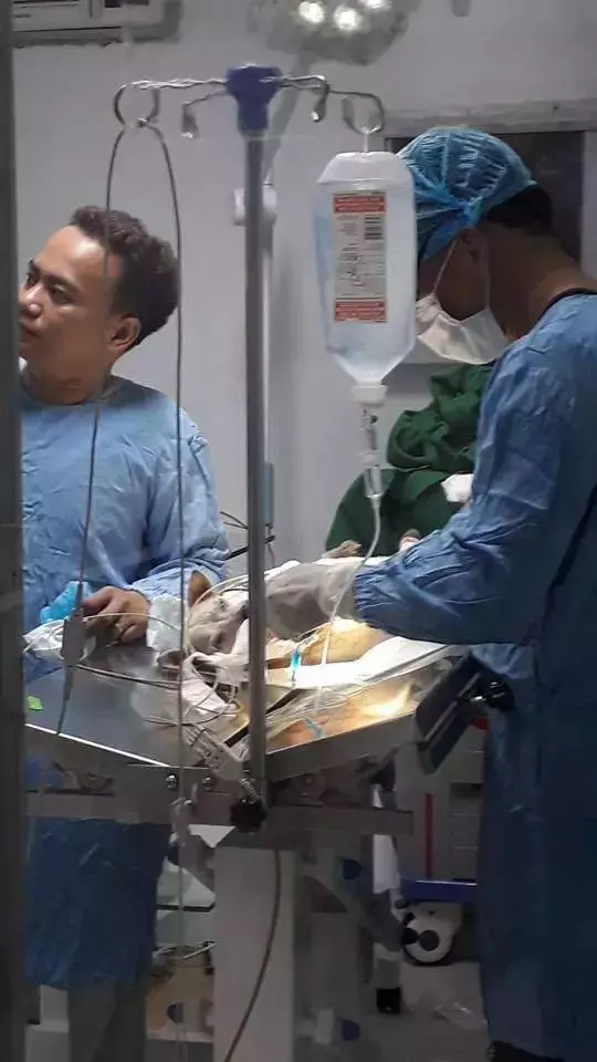 喉嚨有個大洞,流浪狗吃進食物就滑出,它永遠吃不飽!