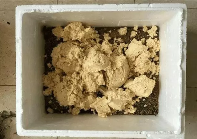 吳大媽養花10年,撿「泡沫箱」有3個妙用,家裡變成「小花園」