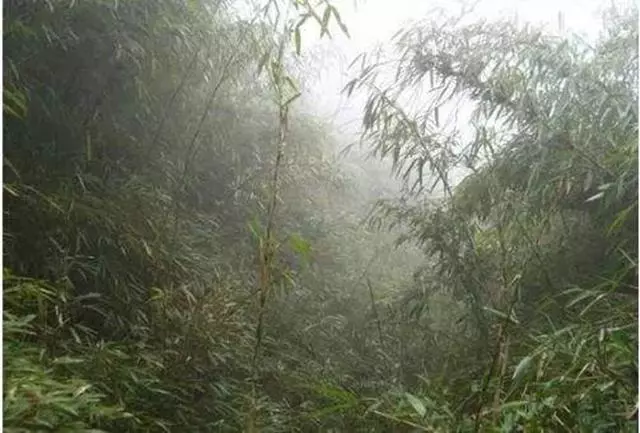 中國的「無解」景區,號稱陸地「百慕達」只聽傳聞就無人敢去