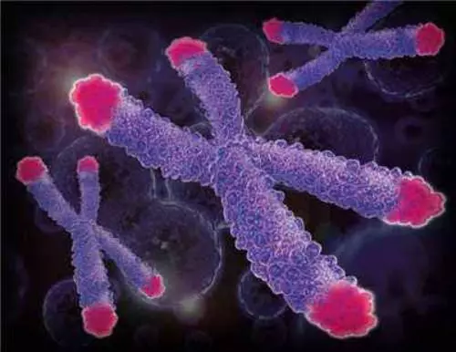 為什麼人類無法做到長生不老?聽完科學家的解釋恍然大悟