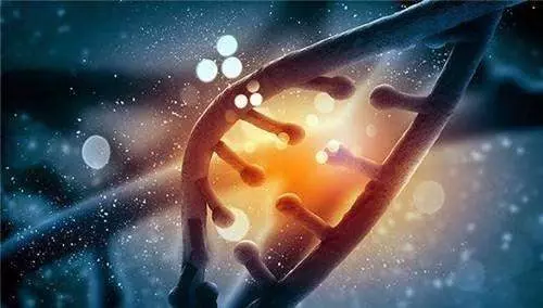 為什麼人類無法做到長生不老?聽完科學家的解釋恍然大悟