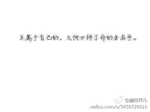 再深的情也需要珍惜,再暖的心也需要安慰