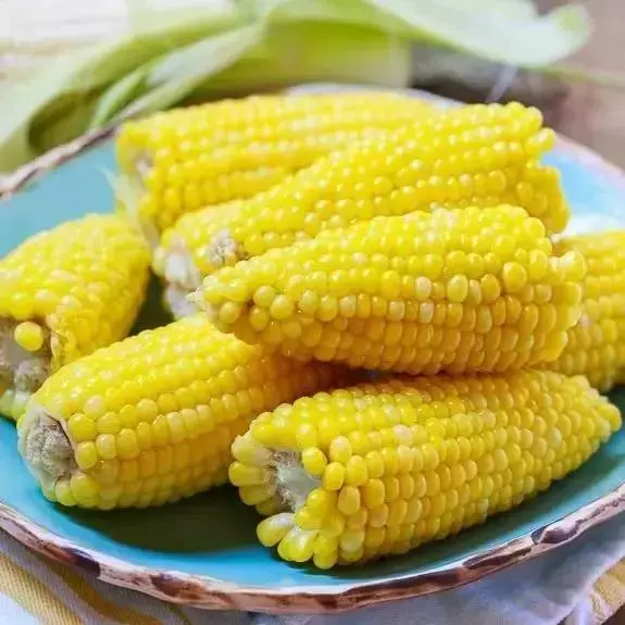 如何把玉米煮的又香又甜?吃剩的玉米要怎樣煮?來教你幾款玉米做法!!