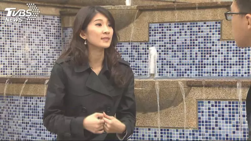 搶搭韓流攻艱困選區! 傳藍營組「刺客團」