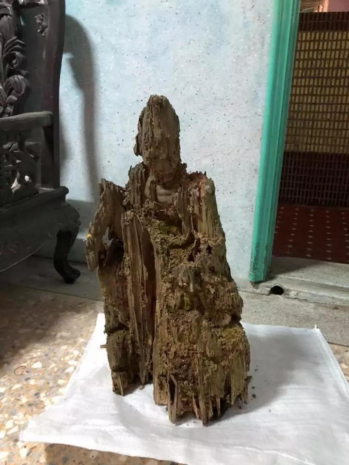 遭白蟻咬10年「枯木竟變濟公佛像」!眼尖網友發現「手上還有驚人細節」根本神蹟再現!