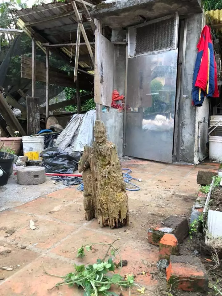 遭白蟻咬10年「枯木竟變濟公佛像」!眼尖網友發現「手上還有驚人細節」根本神蹟再現!