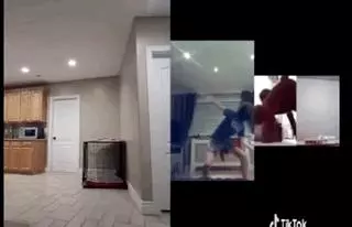 看完美國版抖音,我笑得滿地找頭!