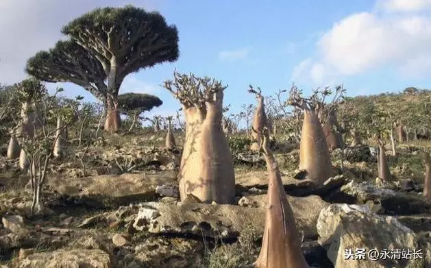 無人知曉的「外星世界」,獨立存在1800萬年