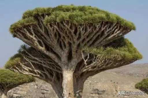 無人知曉的「外星世界」,獨立存在1800萬年