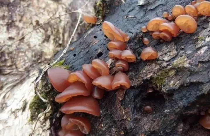 10秒鐘「清理」你的血管,血栓最怕這個動作,躺著就行