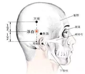 身體自帶的「黑髮劑」,每天堅持按一按,白髮變黑髮,60歲還像40歲!
