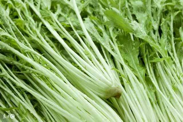 主任醫師:糖尿病患者忌吃7種蔬菜,越吃越嚴重!