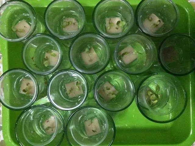 七彩椒不用買,現在種過年就上桌,一個冬天吃不完!