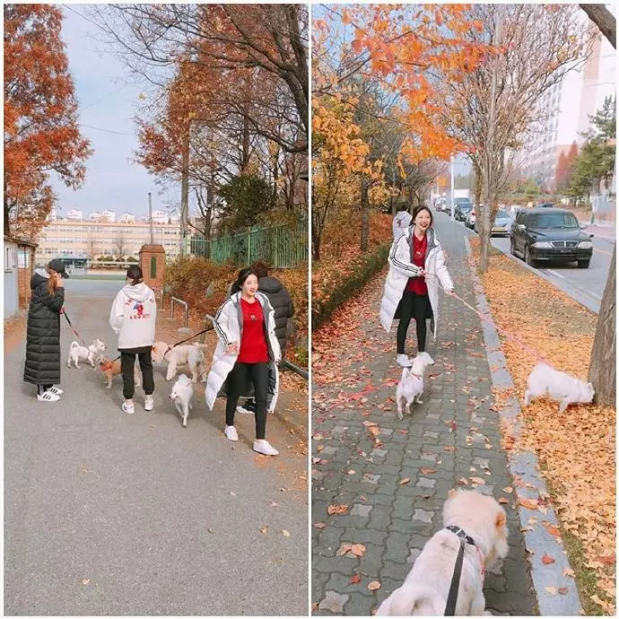 [GFRIEND][分享]181218 人美心善！藝琳與96line親故探訪遺棄犬救助中心花絮公開
