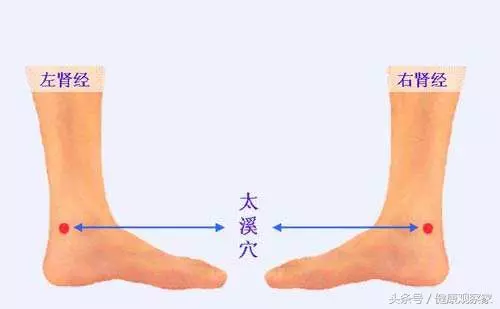 人體第一大補穴,不知道太可惜了!每天按摩10分鐘勝吃10年參!