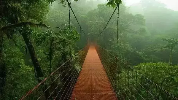 地球上50年內即將消失的8大美景,其中一個在中國,也最讓人遺憾