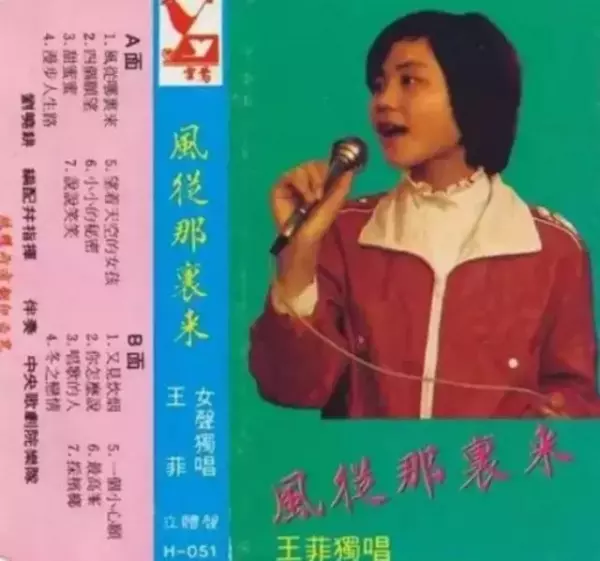終結兩段婚姻,王菲靠什麼讓謝霆鋒對她死心踏地,還為了她一無反顧的離婚?