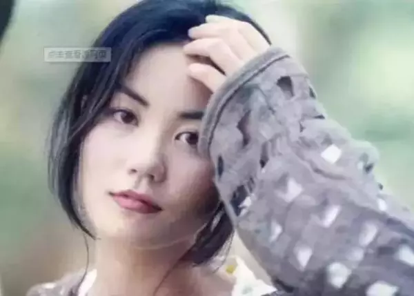 終結兩段婚姻,王菲靠什麼讓謝霆鋒對她死心踏地,還為了她一無反顧的離婚?