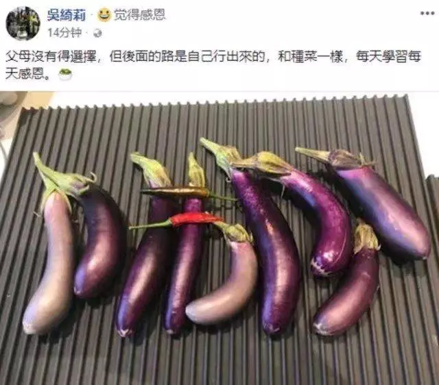 成龍為何不肯與小龍女相認?林鳳嬌的采訪中透露真實原因!