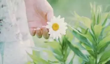 19句話,句句珍貴.....